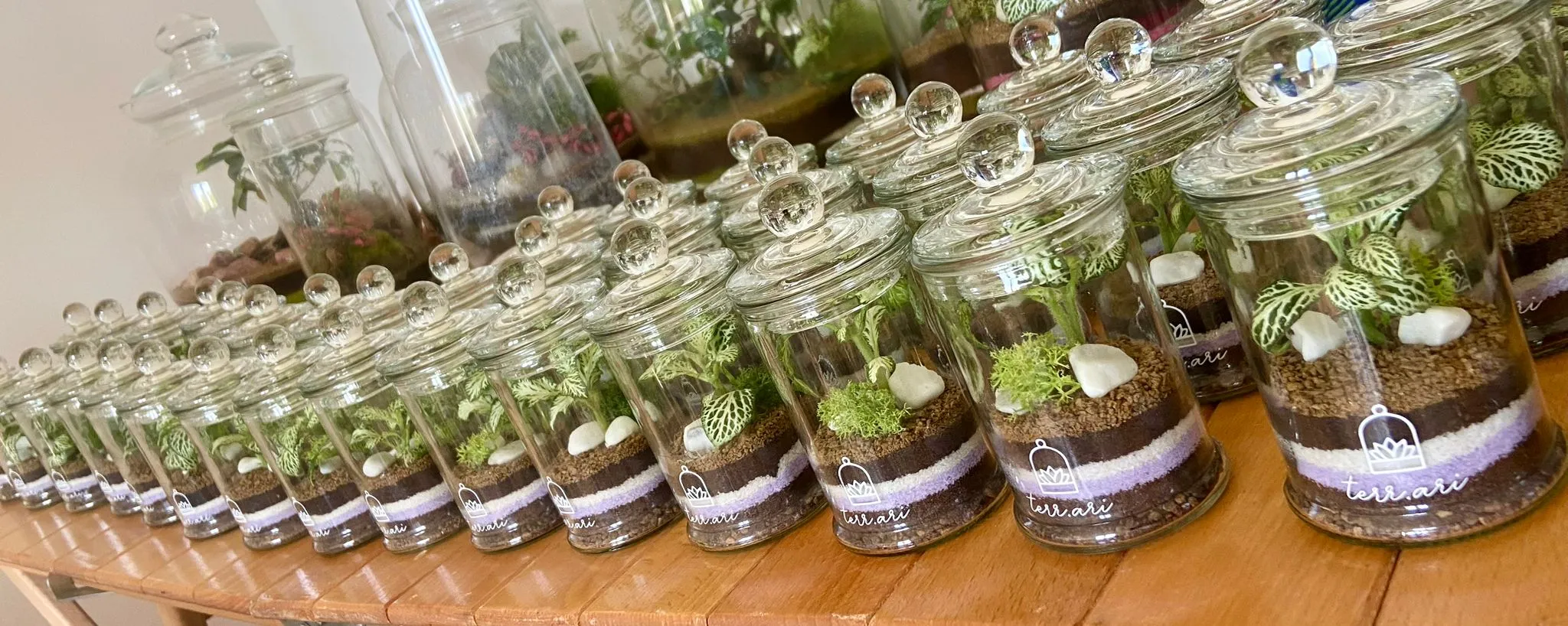 Mini-Terrari bomboniere Terr.ari