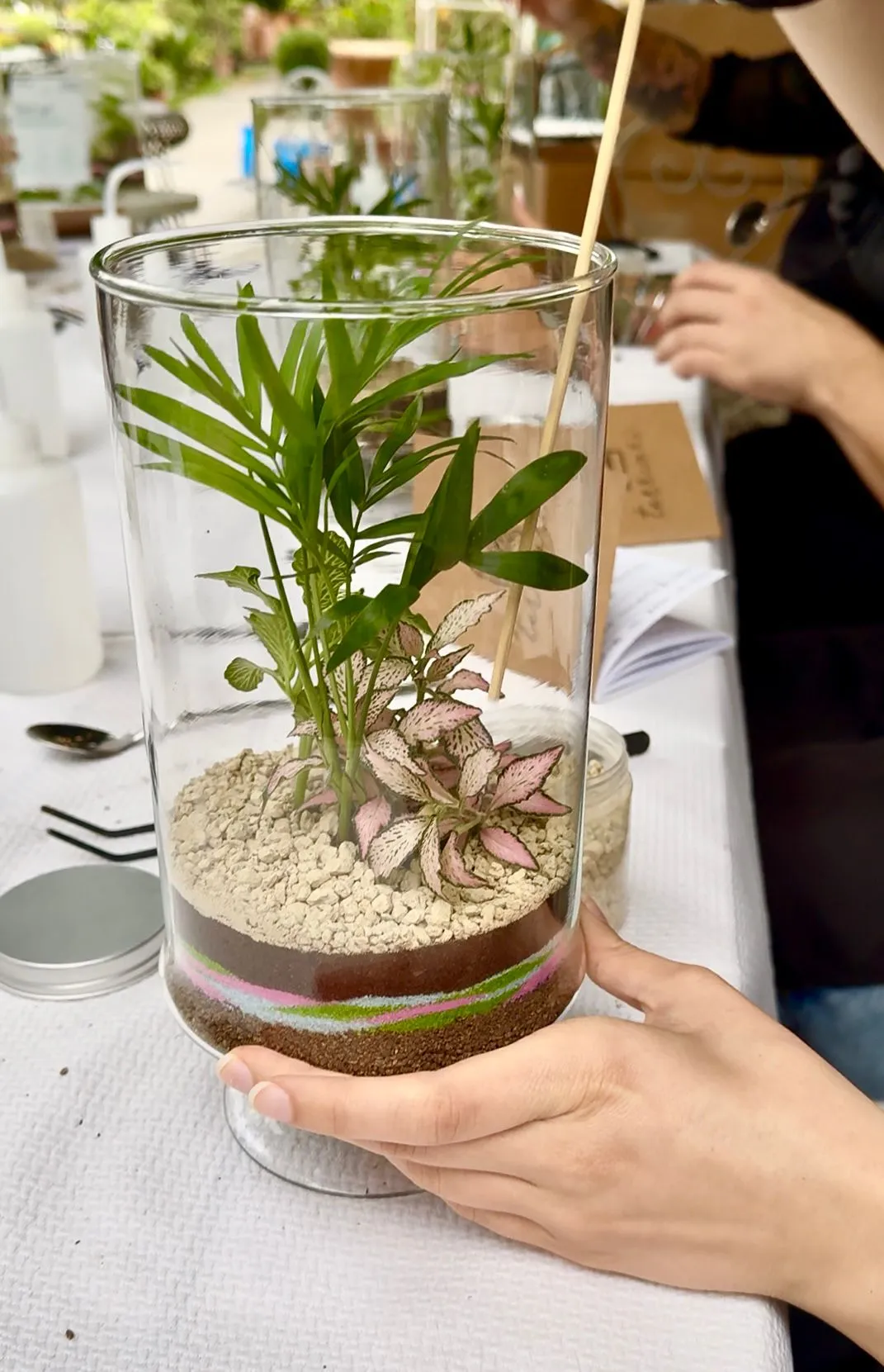Collezione di terrari artigianali realizzati durante i workshop